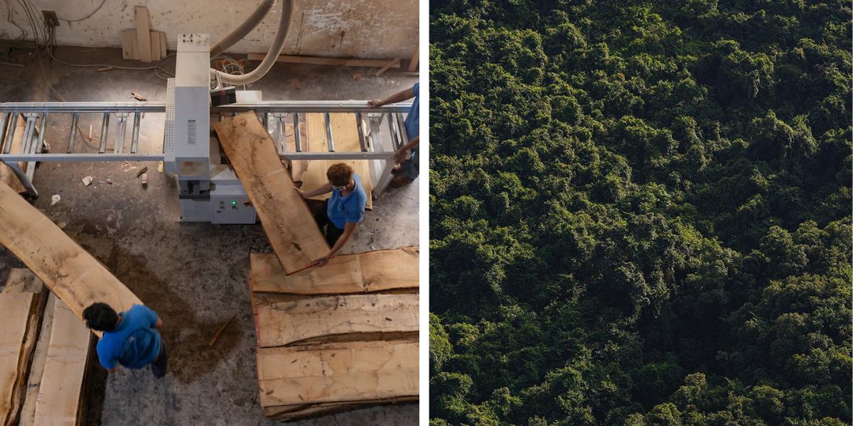 Why Solid Oak? The Benefits Behind the Material